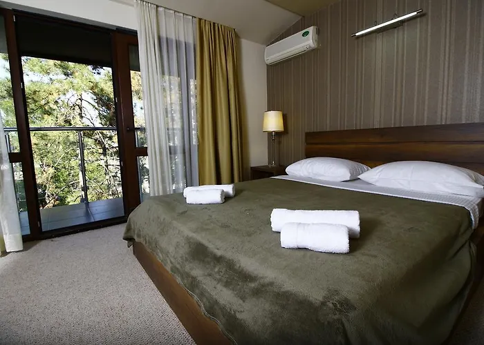 Sani Hotel